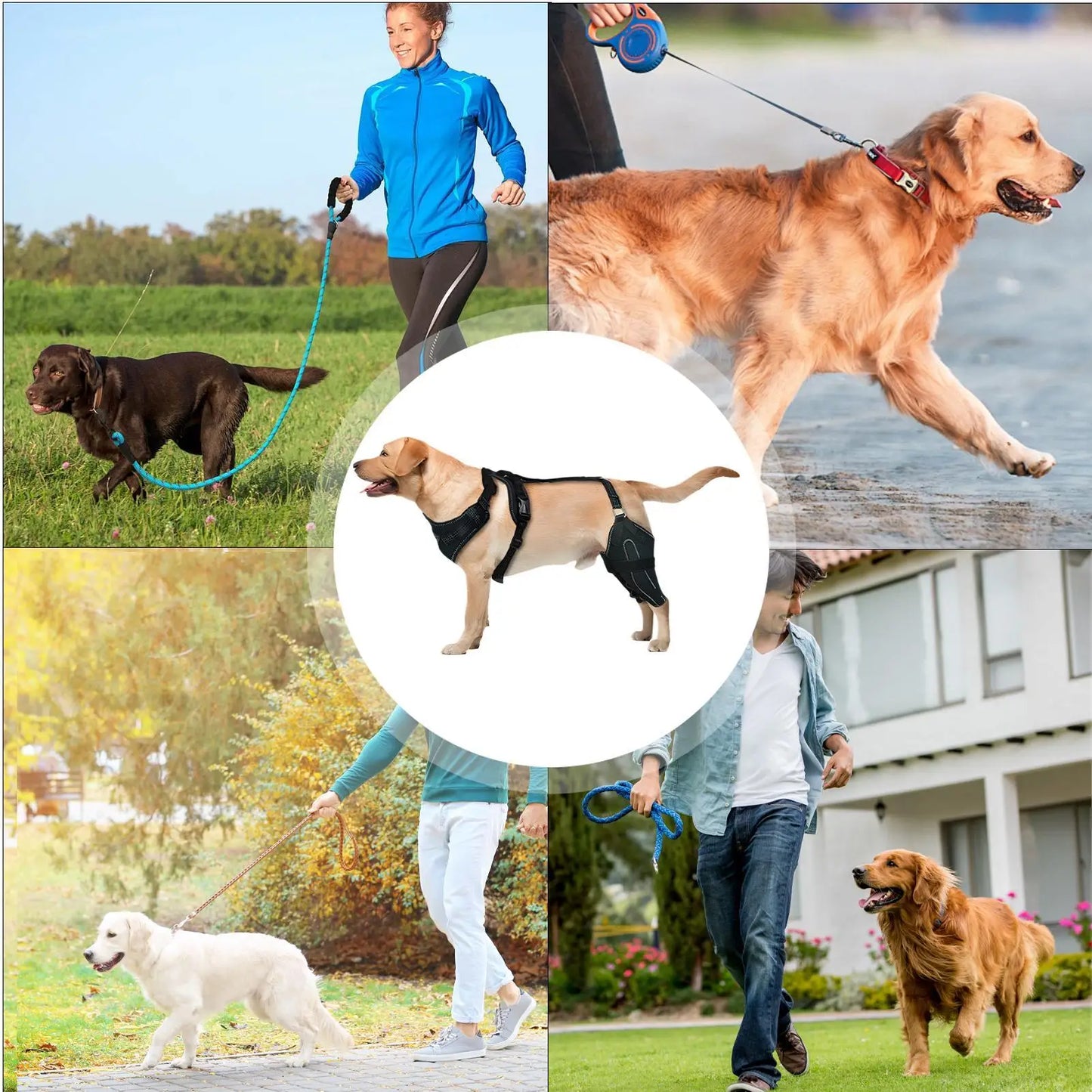 Hinged Dog Knee Brace