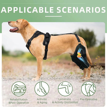 Hinged Dog Knee Brace