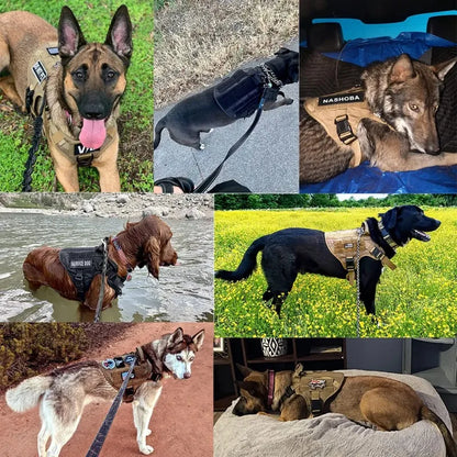Dog Harness