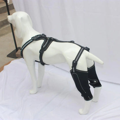 Hinged Dog Knee Brace