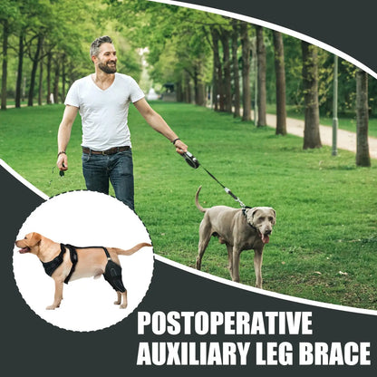 Hinged Dog Knee Brace