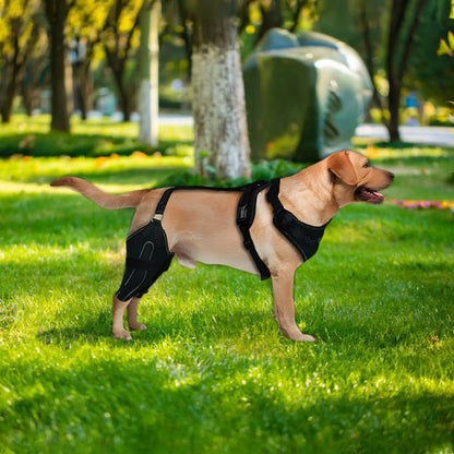 Hinged Dog Knee Brace
