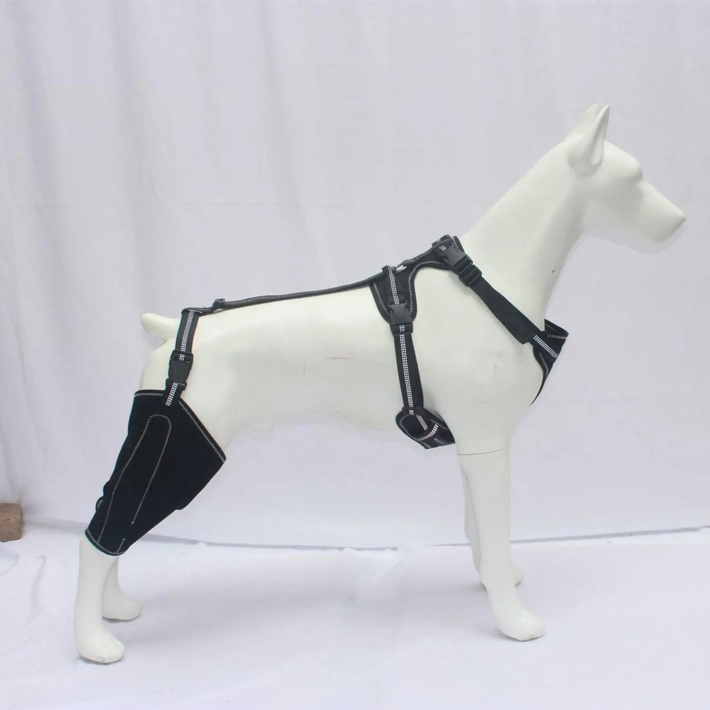 Hinged Dog Knee Brace