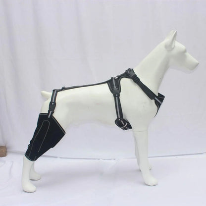 Hinged Dog Knee Brace