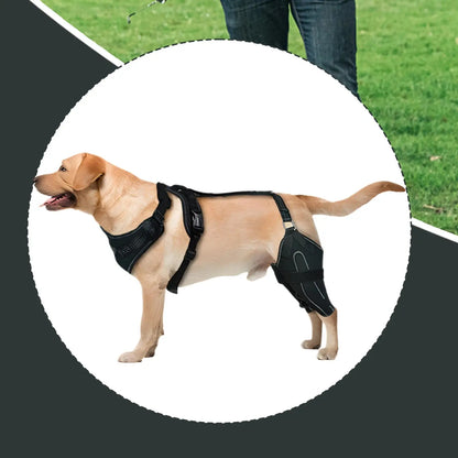 Hinged Dog Knee Brace