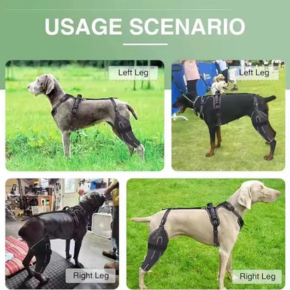 Hinged Dog Knee Brace