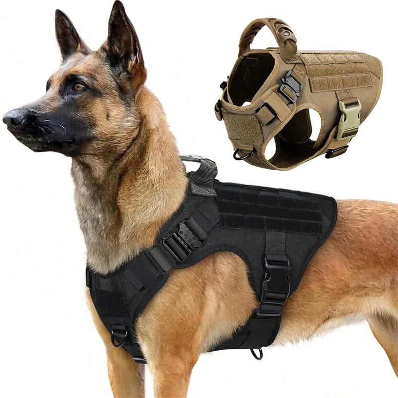 Dog Harness