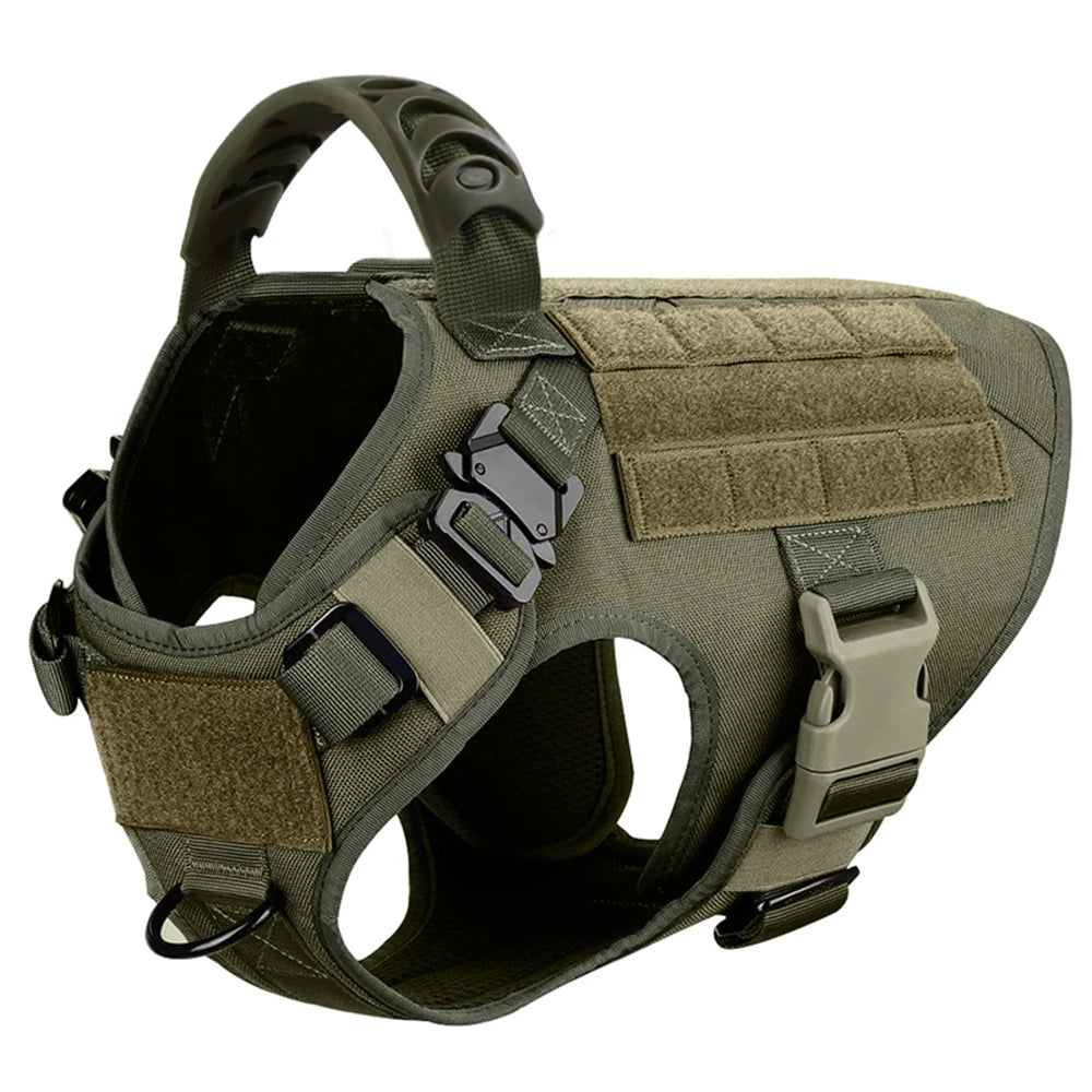 Dog Harness